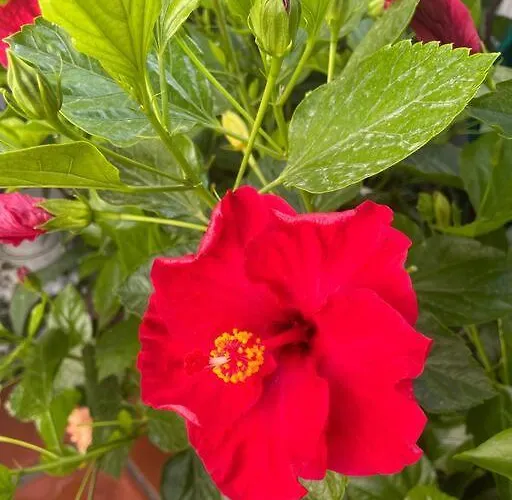 Casa En Village Burriana Дом отдыха