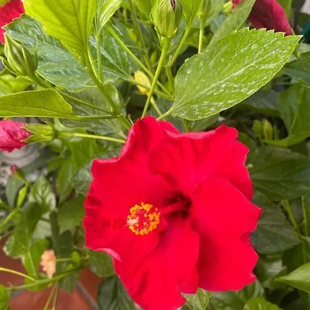 Casa En Village Burriana Nyaraló